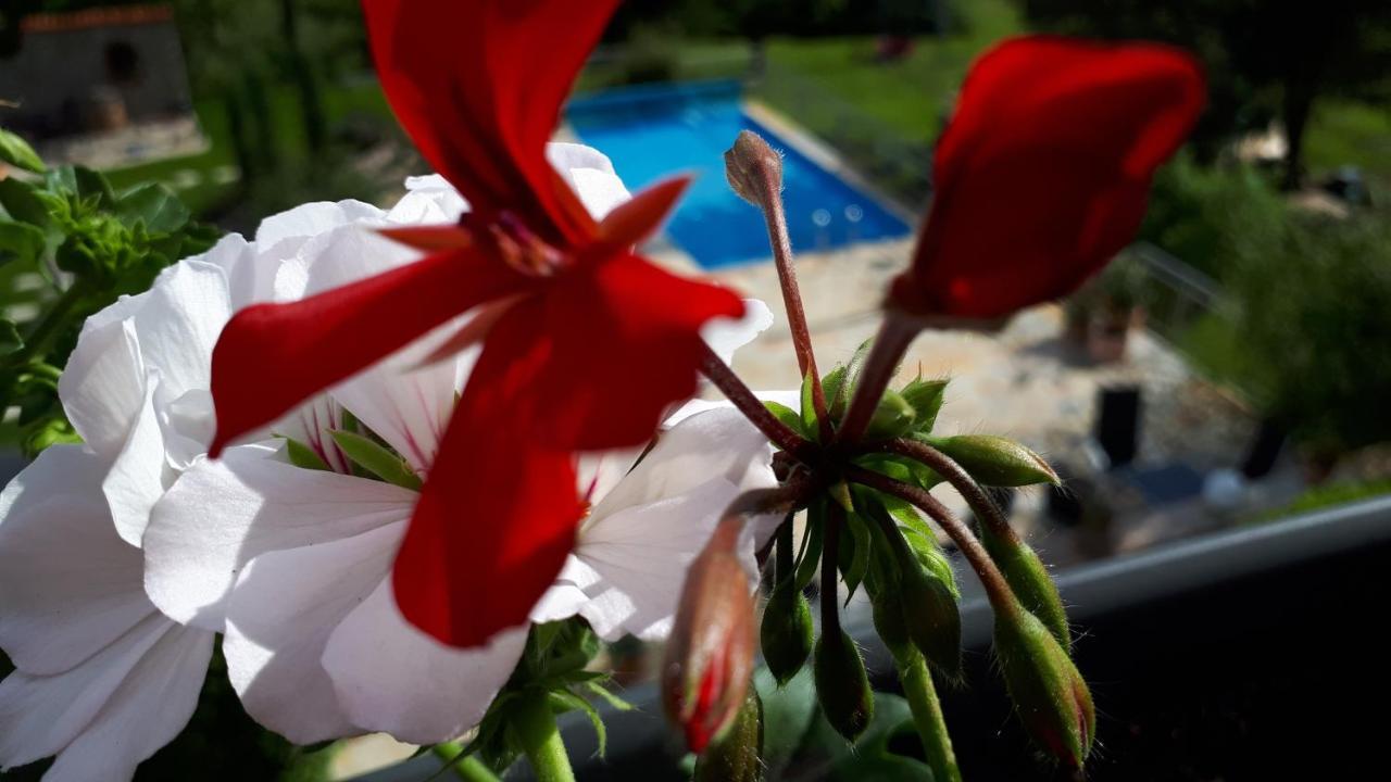 Pension Am Weinberg Bed & Breakfast Mainstockheim Esterno foto