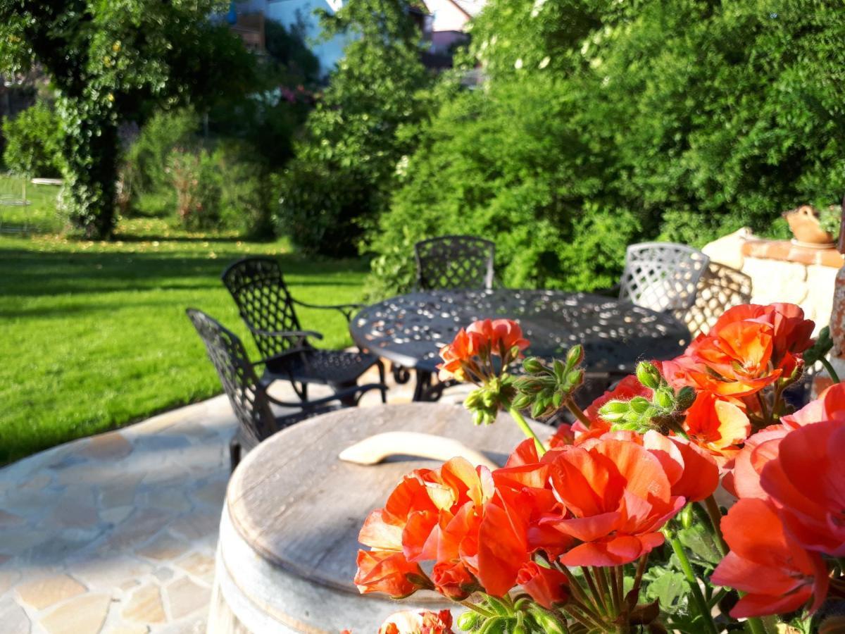 Pension Am Weinberg Bed & Breakfast Mainstockheim Esterno foto