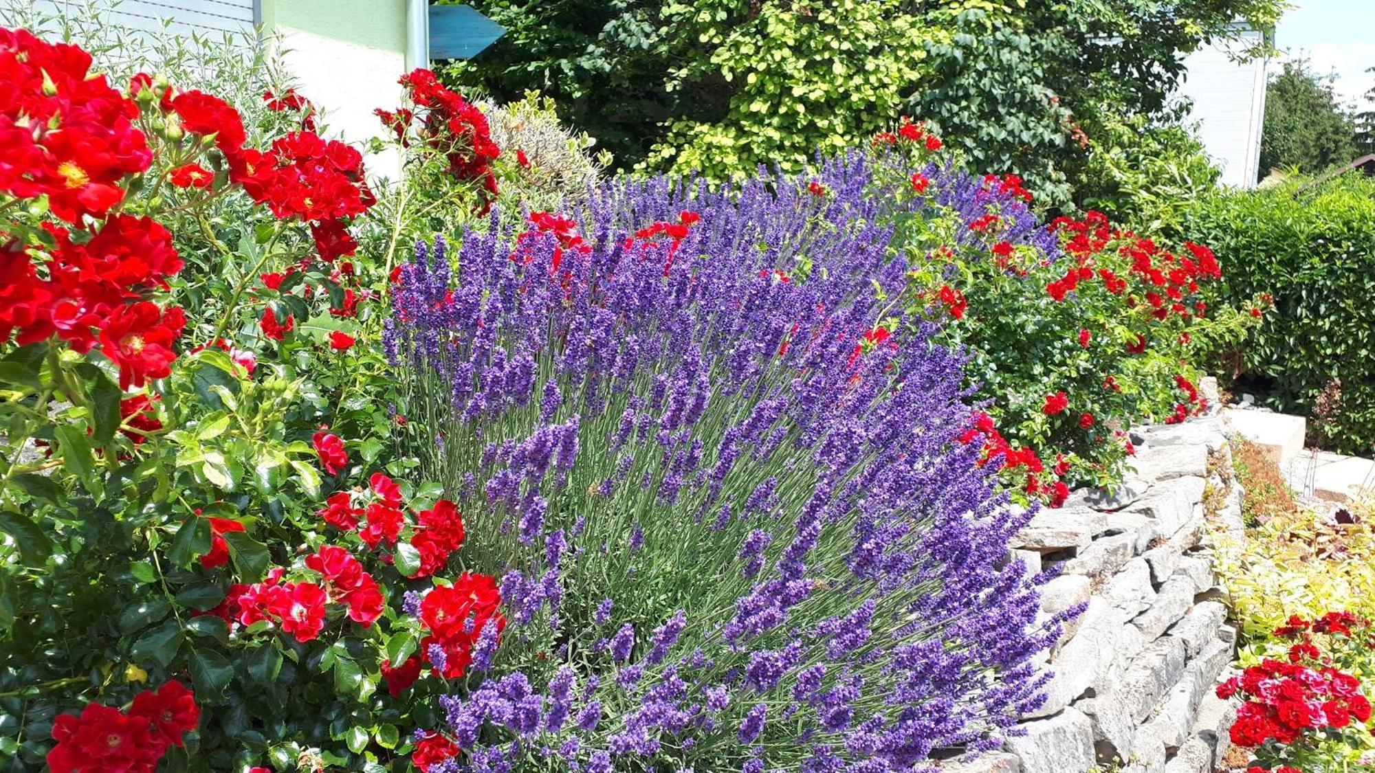Pension Am Weinberg Bed & Breakfast Mainstockheim Esterno foto