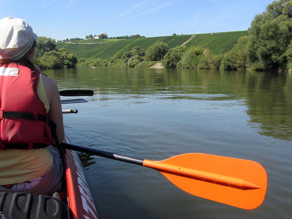 Pension Am Weinberg Bed & Breakfast Mainstockheim Esterno foto