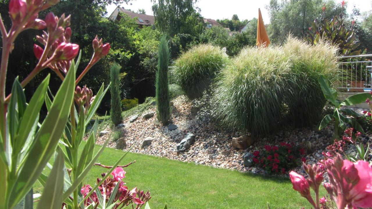 Pension Am Weinberg Bed & Breakfast Mainstockheim Esterno foto